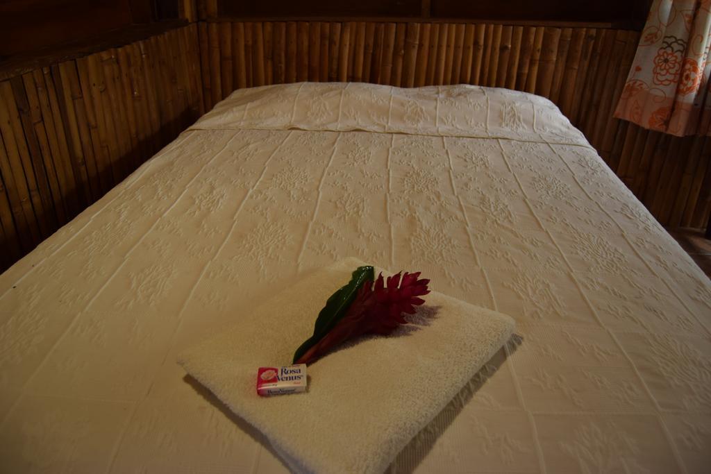 Centro Ecoturistico Cabanas Encantadas Villa Catemaco Eksteriør billede