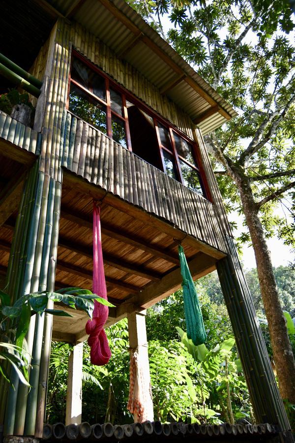 Centro Ecoturistico Cabanas Encantadas Villa Catemaco Eksteriør billede