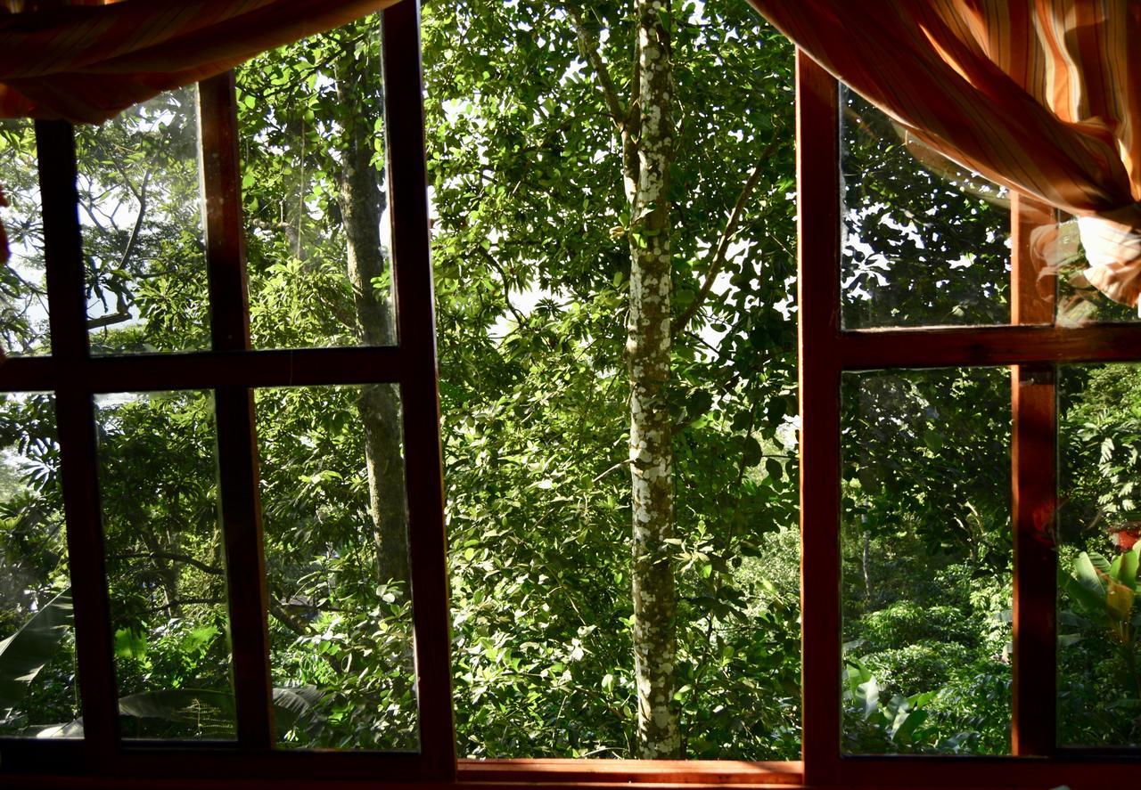 Centro Ecoturistico Cabanas Encantadas Villa Catemaco Eksteriør billede