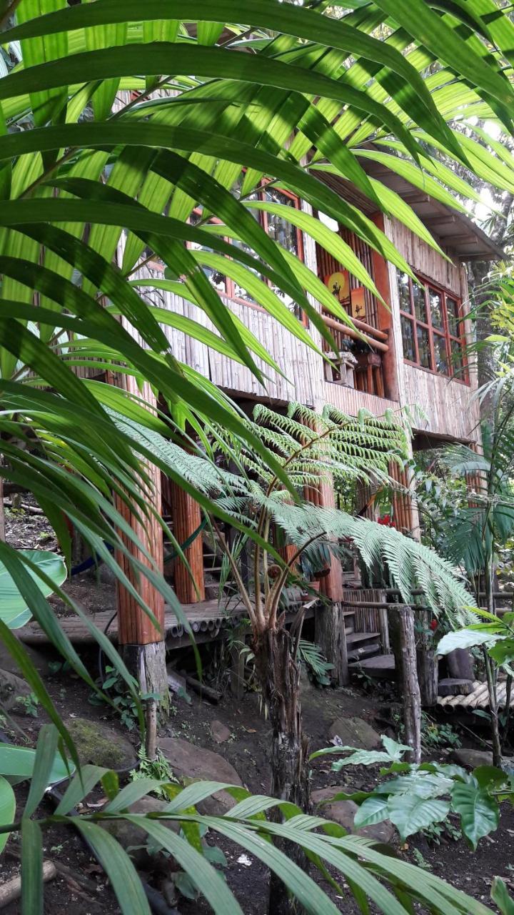 Centro Ecoturistico Cabanas Encantadas Villa Catemaco Eksteriør billede